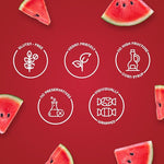 Load image into Gallery viewer, Watermelon Lollipops| Bon Bon Bum 48 Ct
