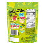 Load image into Gallery viewer, Back package view of ChewzMe Tangy Turtlz Gummies. 8 oz resealable bag. 
